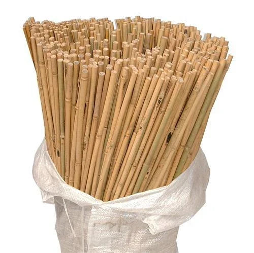 50 x 4ft Heavy Duty Bamboo Garden Canes Strong Thick Quality Plant Support