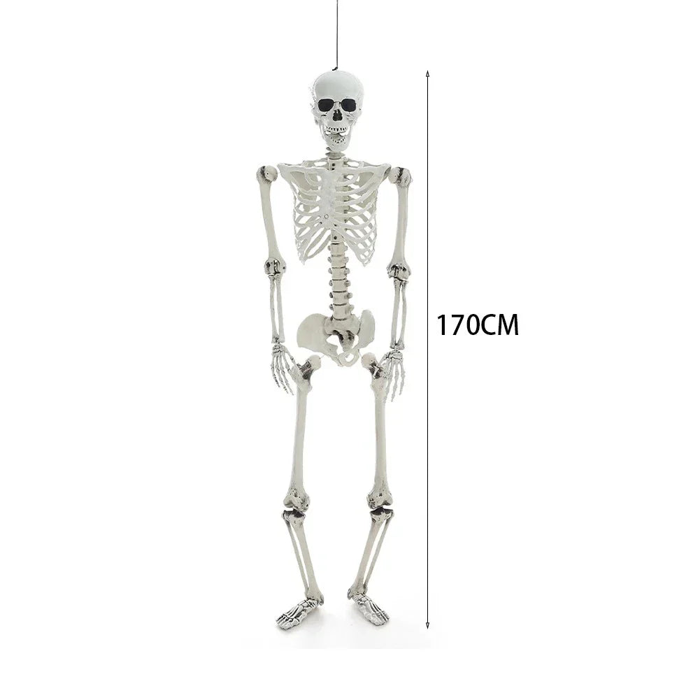 170cm Full Life Size Halloween Hanging Human Skeleton Bones Posable Skull Party