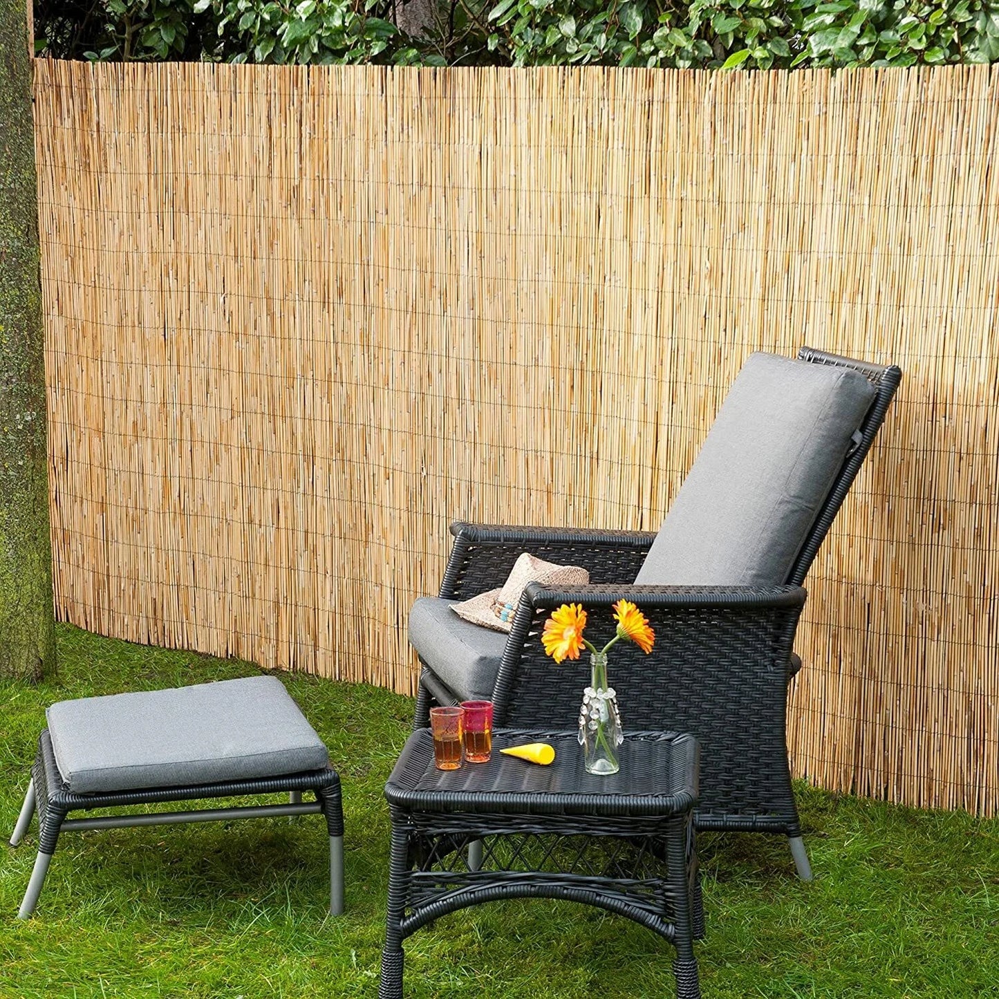 5M x 1.5M Natural Split Natural Peeled Reed Screening Fencing Panel Bamboo Fence Roll