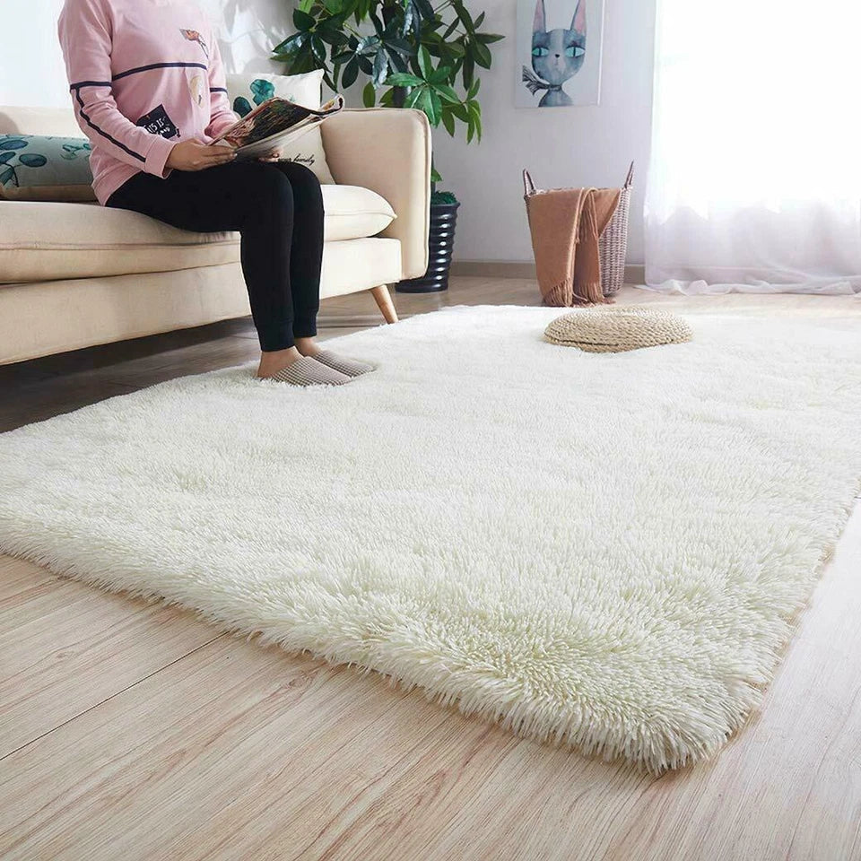 Rugs & Carpets
