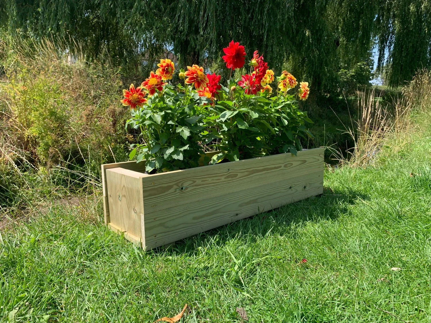 Outdoor & Garden