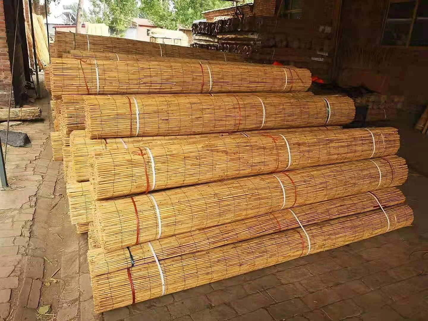 5M x 1.5M Natural Split Natural Peeled Reed Screening Fencing Panel Bamboo Fence Roll