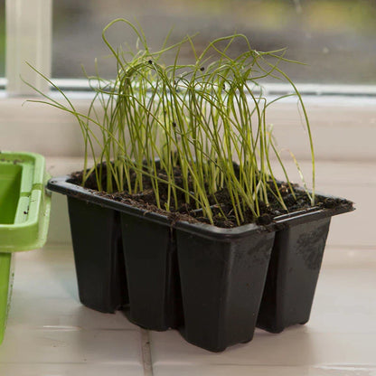 Windowsill Propagator Kit, Indoor Greenhouse, Set of 3, For 90 Plants, Reusable