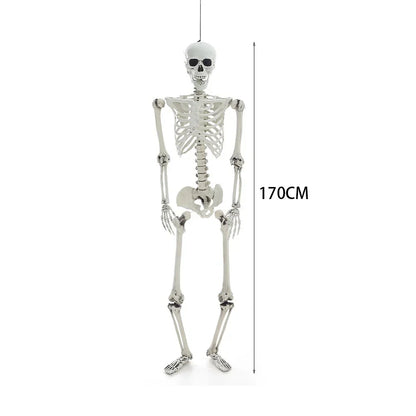 170cm Full Life Size Halloween Hanging Human Skeleton Bones Posable Skull Party