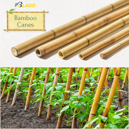 50 x 4ft Heavy Duty Bamboo Garden Canes Strong Thick Quality Plant Support