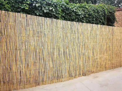 5M x 1.5M Natural Split Natural Peeled Reed Screening Fencing Panel Bamboo Fence Roll