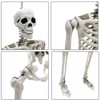 170cm Full Life Size Halloween Hanging Human Skeleton Bones Posable Skull Party