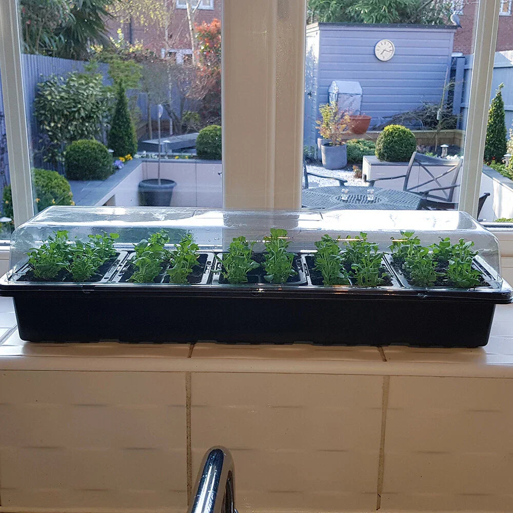 Windowsill Propagator Kit, Indoor Greenhouse, Set of 3, For 90 Plants, Reusable