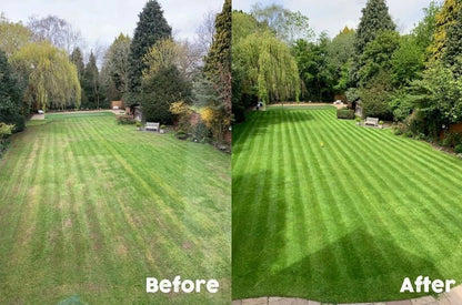 1kg Premium Shade Grass Seed - Ultra shade tolerant, luxury seed