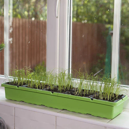 Windowsill Propagator Kit, Indoor Greenhouse, Set of 3, For 90 Plants, Reusable