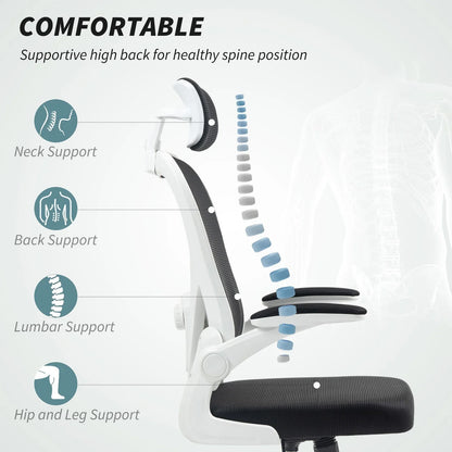 Ergonomic Mesh Office Chair with Headrest, Lumbar Support, Black
